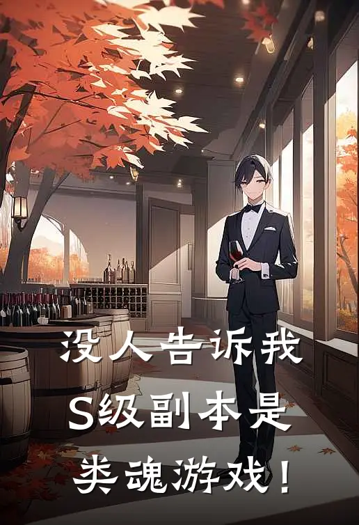 没人告诉我S级副本是类魂游戏！