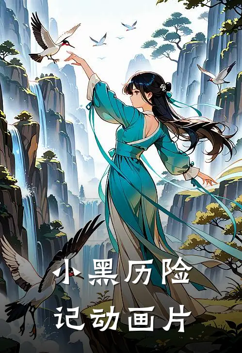 小黑历险记动画片