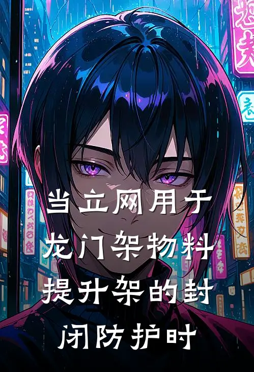 当立网用于龙门架物料提升架的封闭防护时