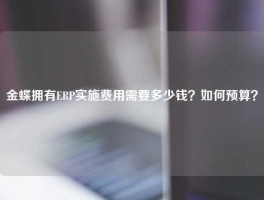 金蝶拥有ERP实施费用需要多少钱？如何预算？