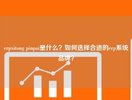 erpxitong pinpai是什么？如何选择合适的erp系统品牌？