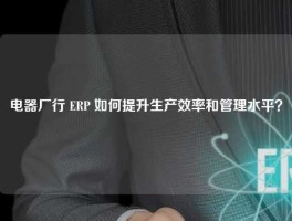 电器厂行 ERP 如何提升生产效率和管理水平？