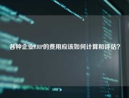 各种企业ERP的费用应该如何计算和评估？