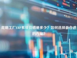 昆明工厂ERP系统价格是多少？如何选择最合适的方案？