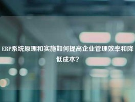 ERP系统原理和实施如何提高企业管理效率和降低成本？