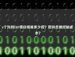 6个月的ERP项目预算多少钱？如何合理控制成本？