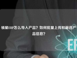 领星ERP怎么导入产品？如何批量上传和筛选产品信息？
