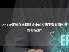 SAP ERP系统在电网建设中的应用下载有哪些好处和经验？