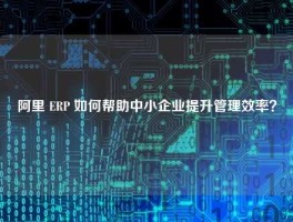 阿里 ERP 如何帮助中小企业提升管理效率？