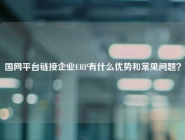 国网平台链接企业ERP有什么优势和常见问题？