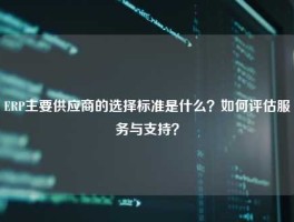 ERP主要供应商的选择标准是什么？如何评估服务与支持？