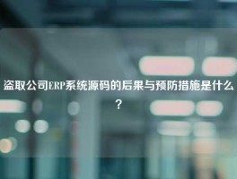 盗取公司ERP系统源码的后果与预防措施是什么？