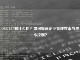 ASUS ERP有什么用？如何提高企业管理效率与成本控制？