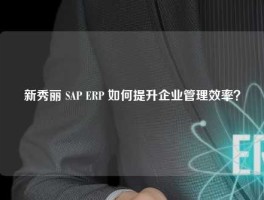 新秀丽 SAP ERP 如何提升企业管理效率？
