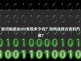 银川制造业ERP系统多少钱？如何选择合适的方案？