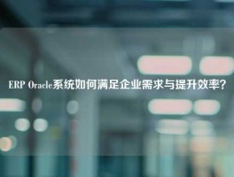 ERP Oracle系统如何满足企业需求与提升效率？