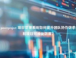 powerproject 项目管理系统如何提升团队协作效率和项目可视化效果？