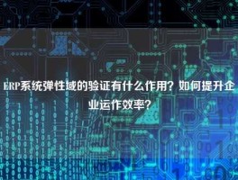ERP系统弹性域的验证有什么作用？如何提升企业运作效率？