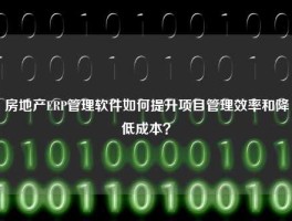 房地产ERP管理软件如何提升项目管理效率和降低成本？