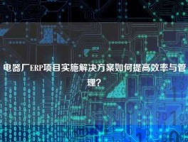 电器厂ERP项目实施解决方案如何提高效率与管理？