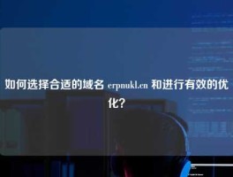 如何选择合适的域名 erpnukl.cn 和进行有效的优化？
