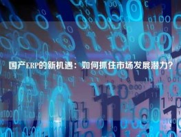国产ERP的新机遇：如何抓住市场发展潜力？