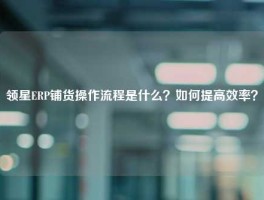 领星ERP铺货操作流程是什么？如何提高效率？