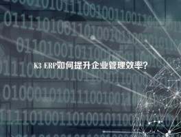 K3 ERP如何提升企业管理效率？