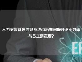 人力资源管理信息系统(ERP)如何提升企业效率与员工满意度？