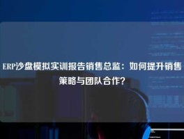 ERP沙盘模拟实训报告销售总监：如何提升销售策略与团队合作？