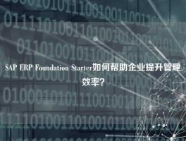 SAP ERP Foundation Starter如何帮助企业提升管理效率？