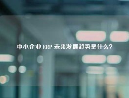 中小企业 ERP 未来发展趋势是什么？