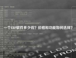一个ERP软件多少钱？价格和功能如何选择？