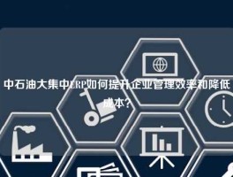中石油大集中ERP如何提升企业管理效率和降低成本？