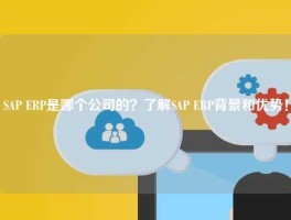 SAP ERP是哪个公司的？了解SAP ERP背景和优势！