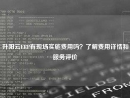 升阳云ERP有现场实施费用吗？了解费用详情和服务评价