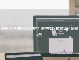 领星ERP系统怎么维护？维护技巧和常见问题解析！