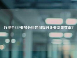 万里牛ERP业务分析如何提升企业决策效率？
