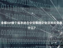 金蝶ERP哪个版本适合中型集团企业及其优势是什么？