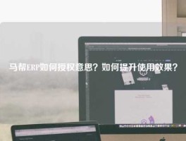 马帮ERP如何授权意思？如何提升使用效果？