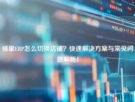 领星ERP怎么切换店铺？快速解决方案与常见问题解析！