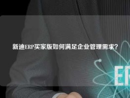 新迪ERP买家版如何满足企业管理需求？
