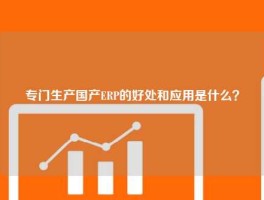 专门生产国产ERP的好处和应用是什么？