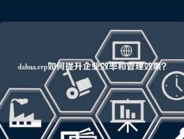 dahua.erp如何提升企业效率和管理效果？