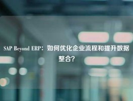 SAP Beyond ERP：如何优化企业流程和提升数据整合？