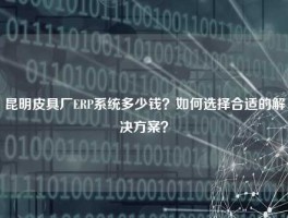 昆明皮具厂ERP系统多少钱？如何选择合适的解决方案？