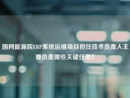 国网能源院ERP系统运维项目担任技术负责人主要负责哪些关键任务？