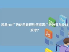 领星ERP广告使用教程如何提高广告效果和投放效率？