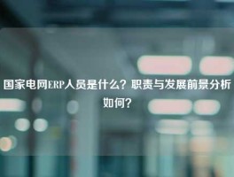 国家电网ERP人员是什么？职责与发展前景分析如何？
