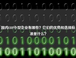 国内ERP小型企业有哪些？它们的优势和选择标准是什么？